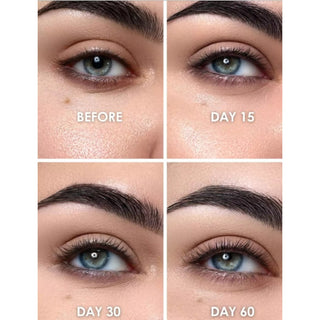 Four-panel close-up showing eyebrow and lash growth over time. Top left labelled 'Before' with sparse lashes and brows; top right 'Day 15' with slight improvement' bottom left 'Day 30' showing fuller growth'; bottom right 'Day 60' with visibly thicker brows and longer lashes.