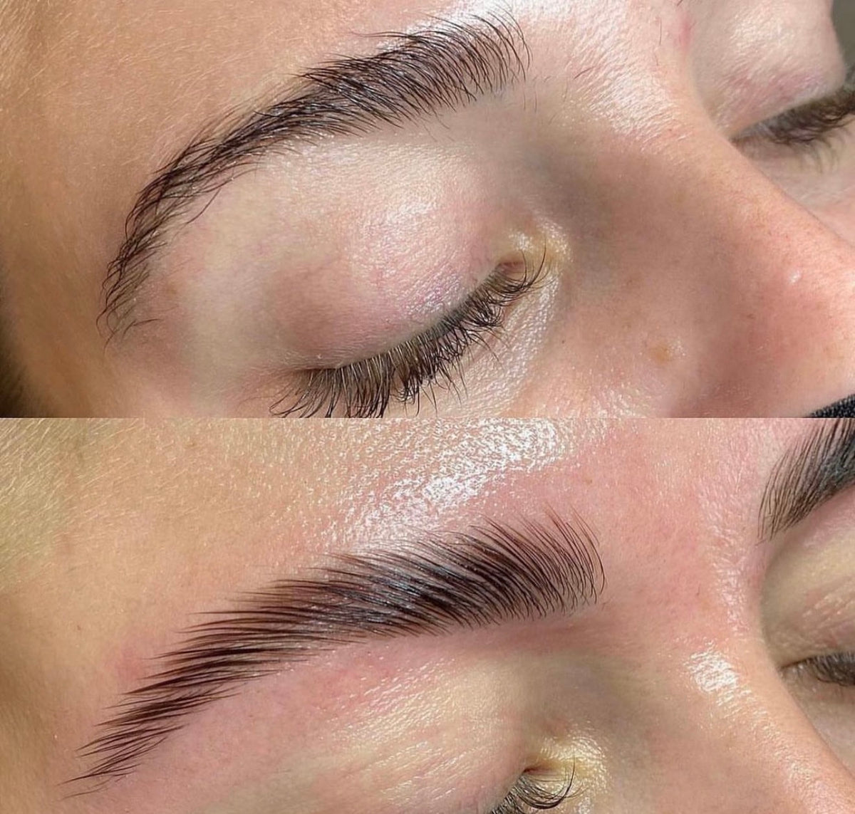 Eyebrow Tinting and Laminating Treatments in Kitchener Waterloo | Gina ...