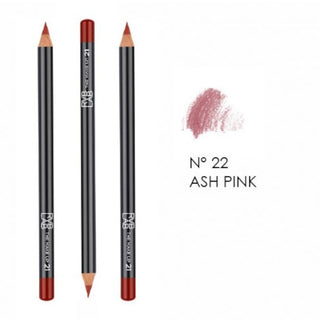 Lip Pencil 22 (Ash Pink) RVB Lab The Make Up